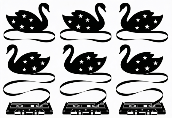 Retro Swan Cassette Tape Stars Graphic Embroidery Review